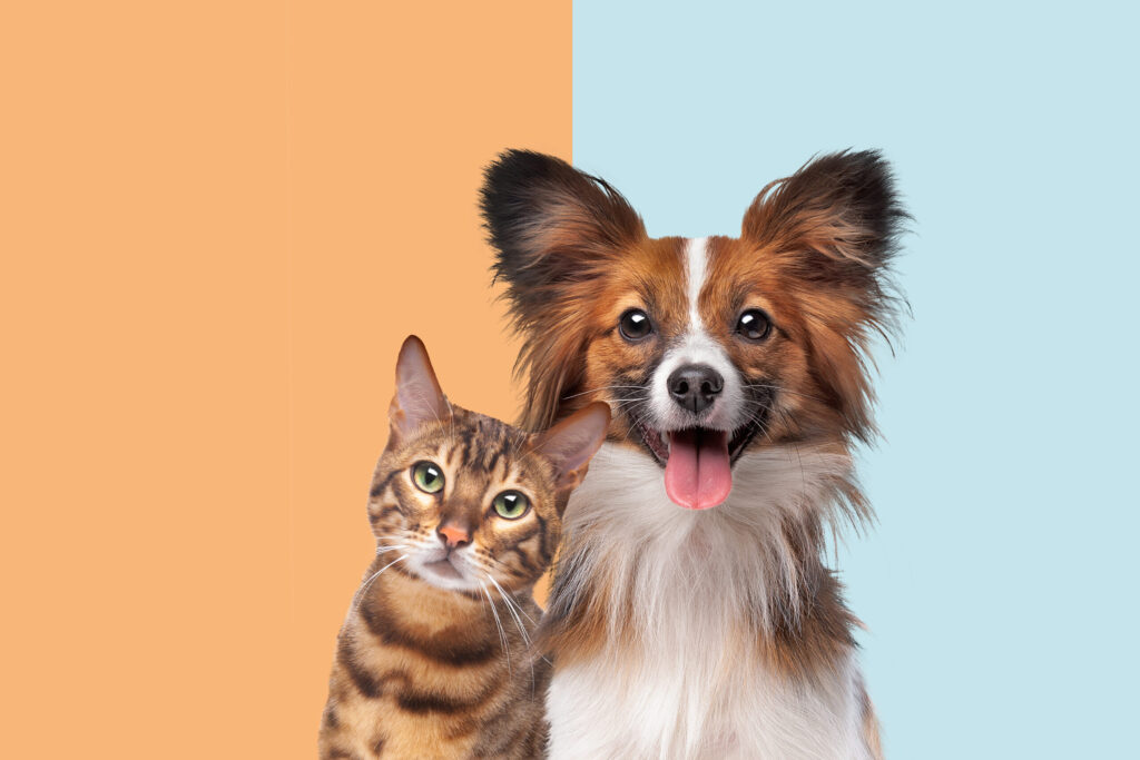CVS ofrecerá medicamentos para perros y gatos en sus farmacias en Estados Unidos