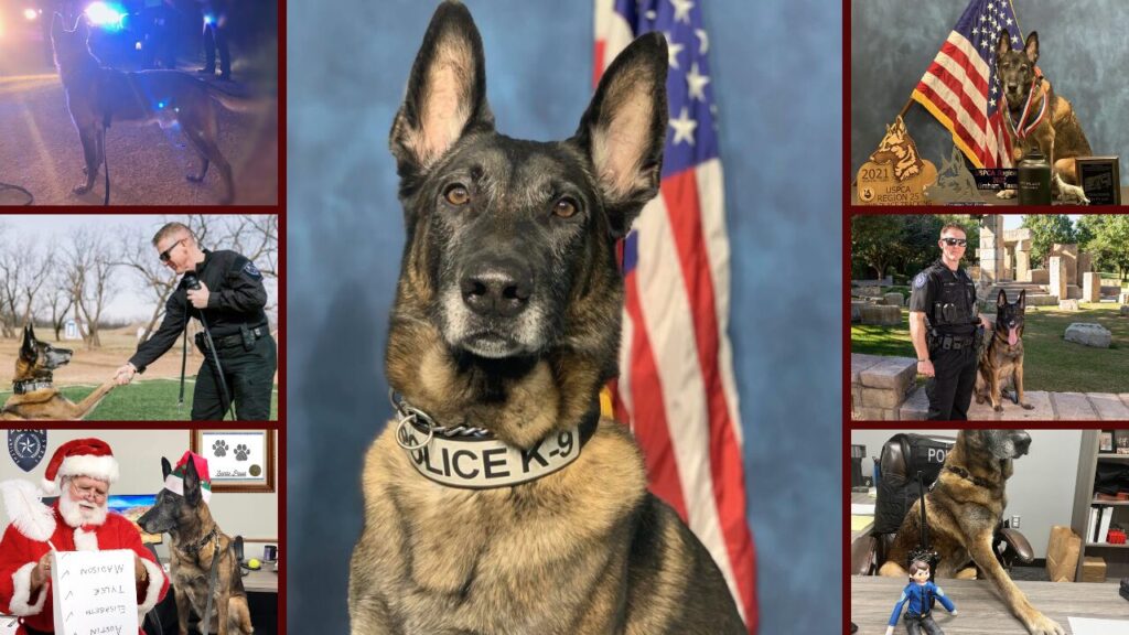 Fallece K9 Barco, el emblemático perro policía retirado del Departamento de Policía de Abilene