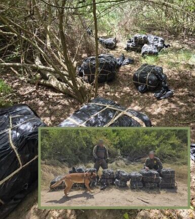 Decomisan casi 500 libras de drogas ilegales en operativo fronterizo