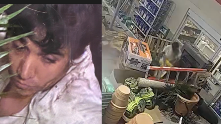 Entró a robar, construyó un fuerte y se quedó dormido dentro de una tienda en El Paso