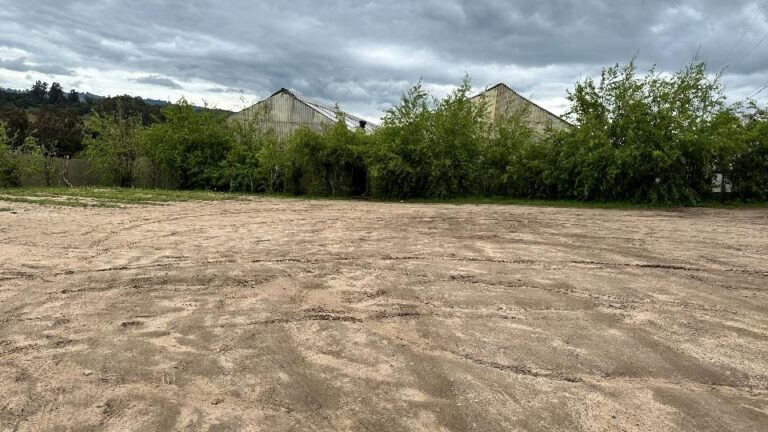 Acuerdo de $800 mil pone fin a caso por viviendas insalubres en Royal Oaks