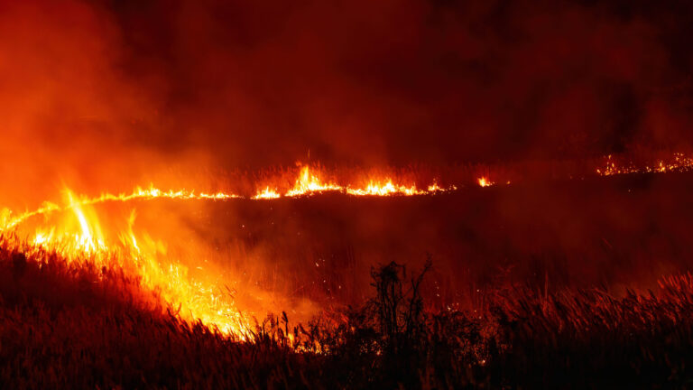 Timber Fire supera las 6 mil acres y mantiene activa la zona este de Big Sur