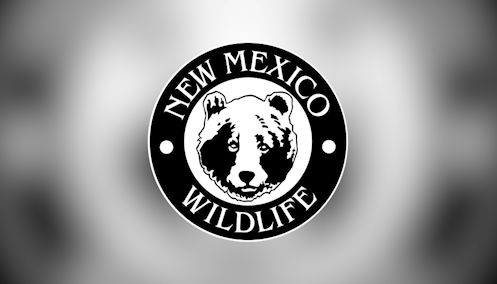 Un hombre resulta herido por un oso mientras acampaba en Nuevo México