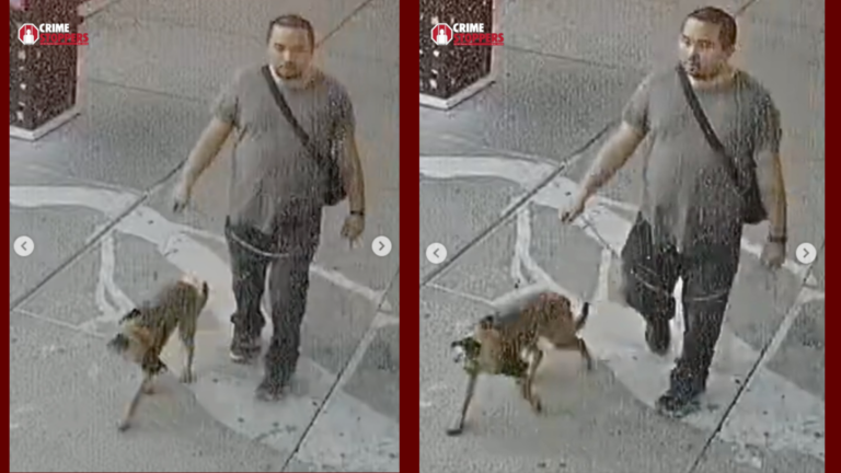 Captado en cámara: Hombre abandona a su perro en el centro de El Paso
