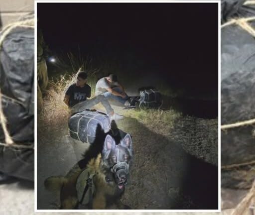 Detienen a dos presuntos traficantes tras decomiso de más de 71 libras de marihuana