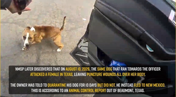 Revelan video de policía disparando a un perro durante parada vial en Nuevo México