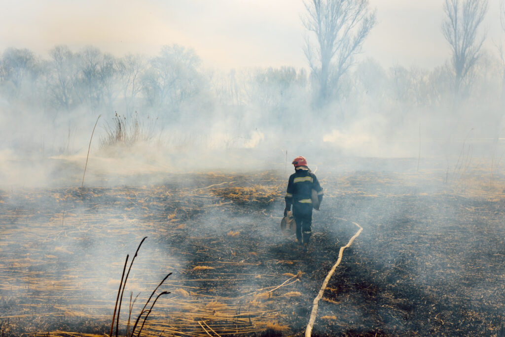 Avanzan los trabajos de contención en los incendios Timber y Plaskett