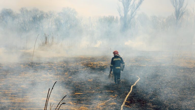 Avanzan los trabajos de contención en los incendios Timber y Plaskett