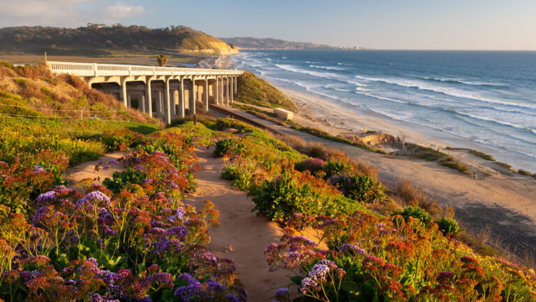 Torrey Pines cerrará este martes por obras de infraestructura y accesibilidad hasta marzo de 2027