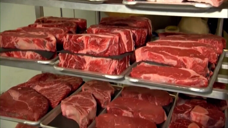 Operativos migratorios podrían elevar el precio de la carne de res en EE.UU.