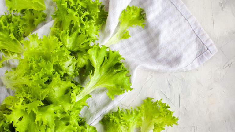 FDA encuentra nuevas pruebas que vinculan lechuga de Taylor Farms con brote de Cyclospora