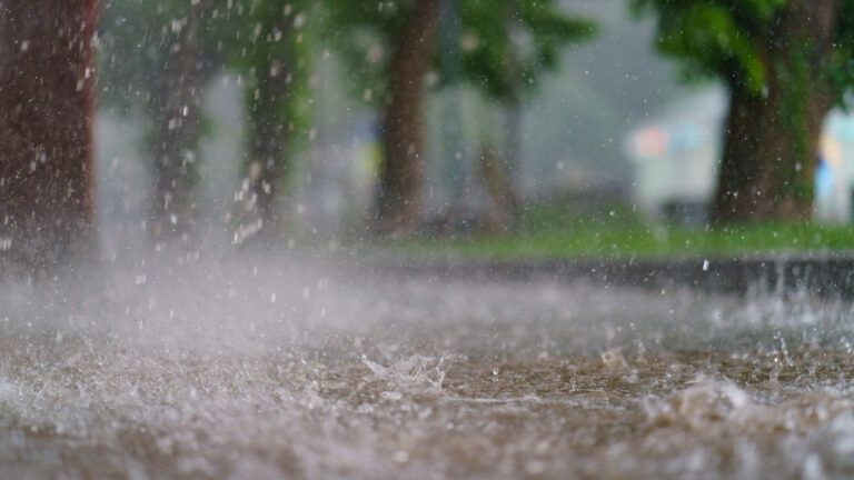 Tormenta tropical Rachel podría traer lluvias intensas e inundaciones a San Diego
