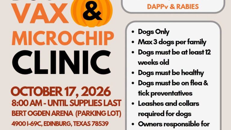 Ofrecerán vacunas y microchips gratuitos para perros en Edinburg