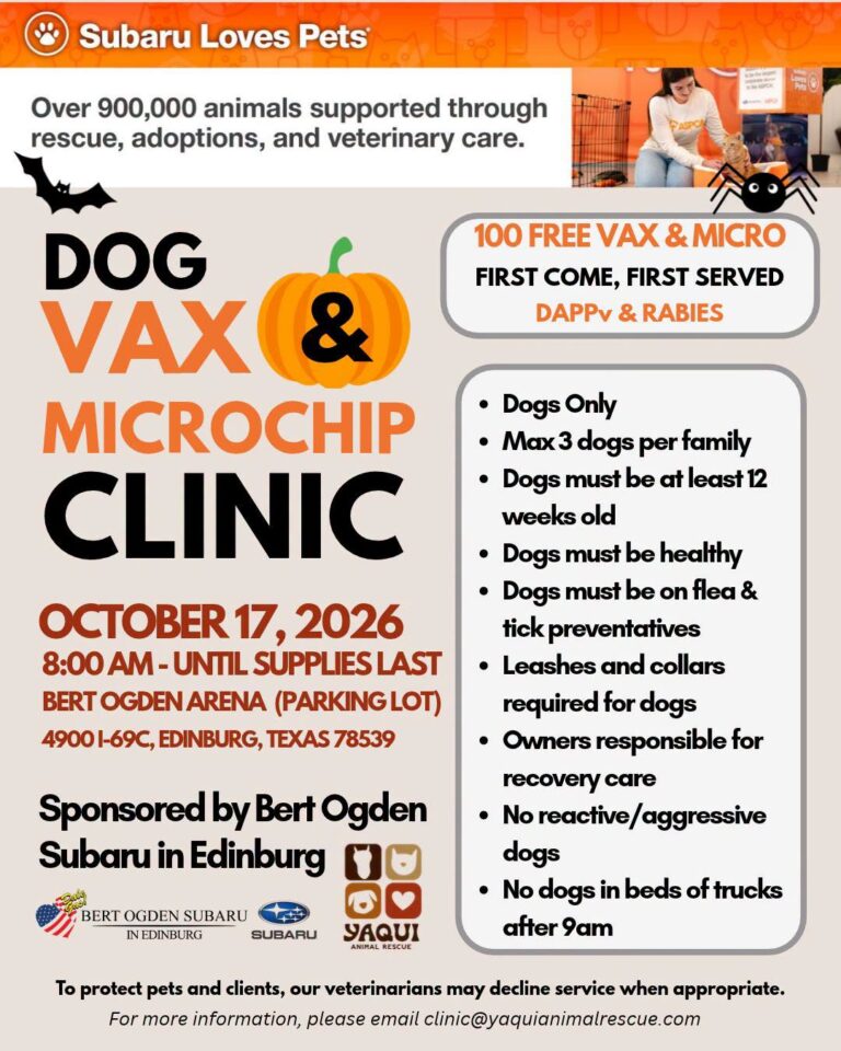 Ofrecerán vacunas y microchips gratuitos para perros en Edinburg